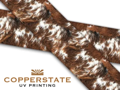 Longhorn Cowhide #37
