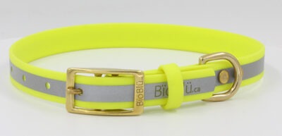 Reflecto-Blü Buckle Dog Collar