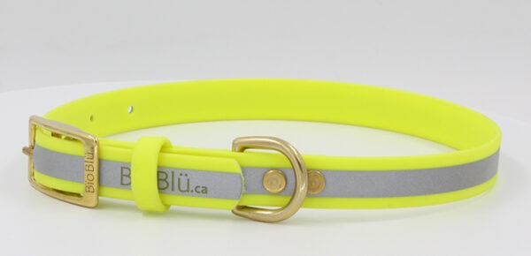 Reflecto-Blü Buckle Dog Collar - Image 3