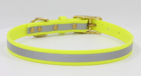 Reflecto-Blü Buckle Dog Collar - Image 4
