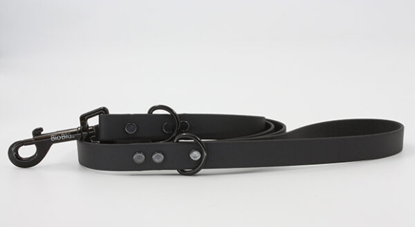 Solid-Color Leash - Image 5