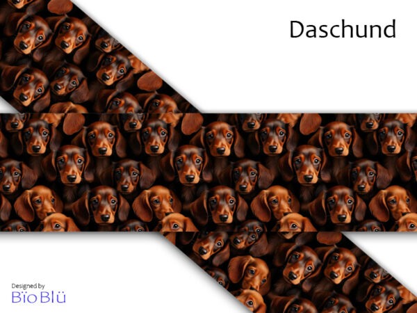 Daschund #134