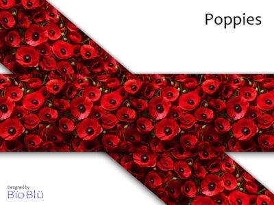 Poppies #118
