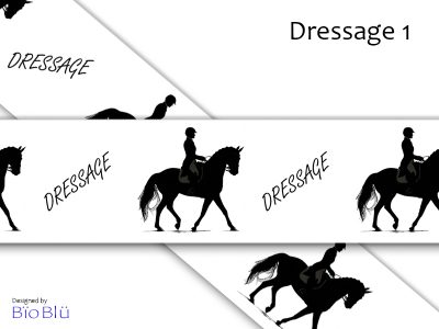 Dressage 1 #141